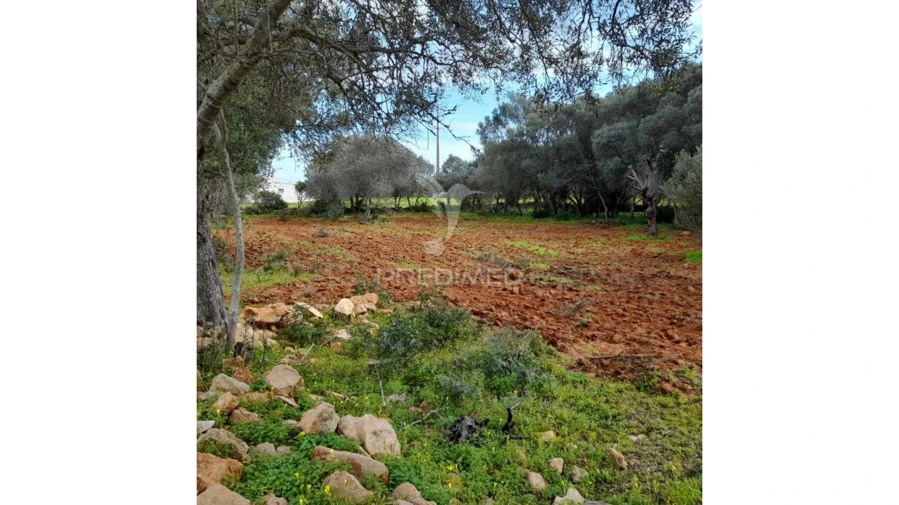 Terreno para Venda em Quelfes Foto 1