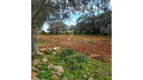 Terreno para Venda em Quelfes