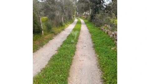 Terreno para Venda em Quelfes