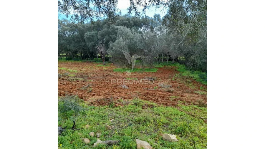 Terreno para Venda em Quelfes Foto 3
