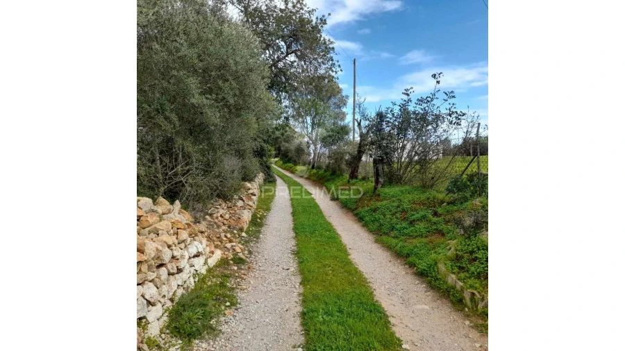 Terreno para Venda em Quelfes Foto 4