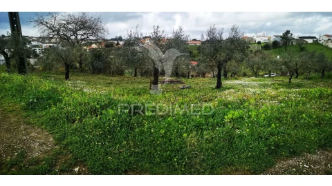 Terreno para Venda em Arrabal