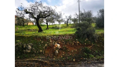 Terreno para Venda em Arrabal