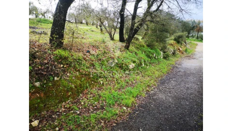 Terreno para Venda em Arrabal