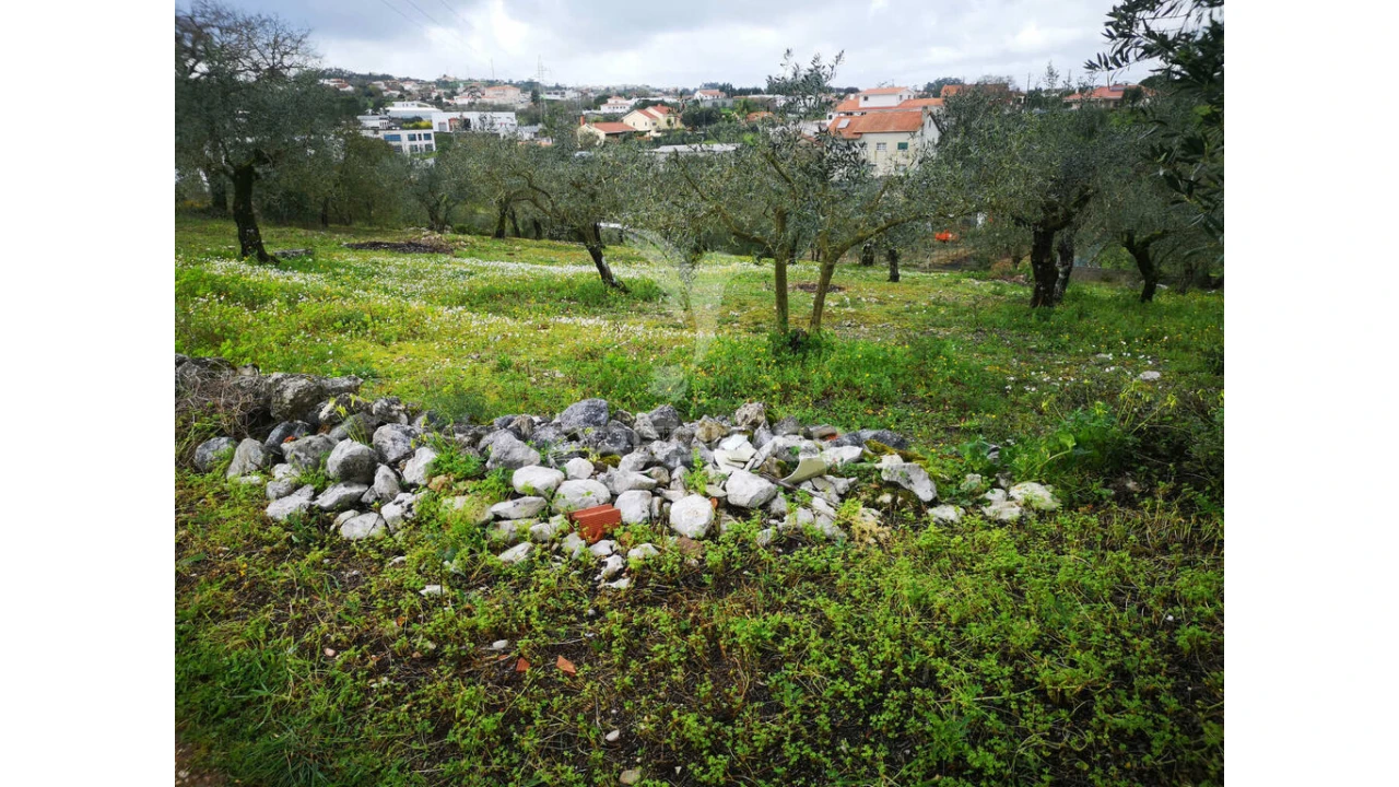 Terreno para Venda em Arrabal Foto 7