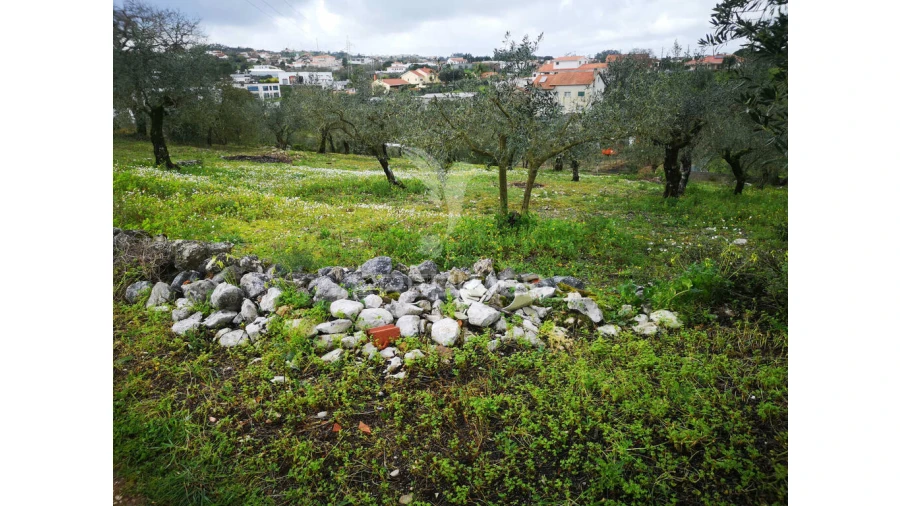 Terreno para Venda em Arrabal Foto 7