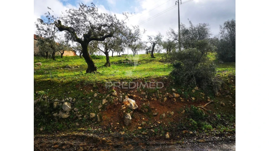 Terreno para Venda em Arrabal Foto 2
