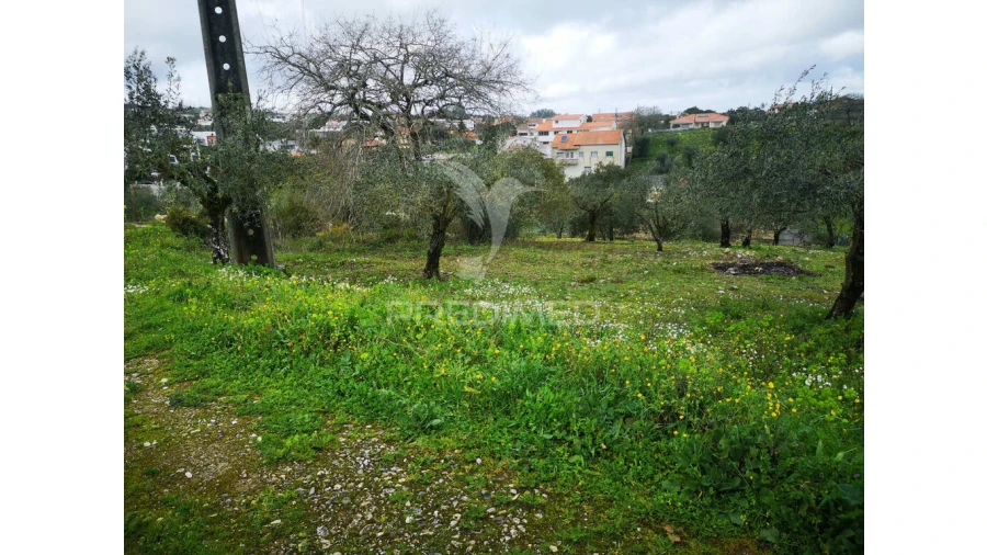 Terreno para Venda em Arrabal Foto 5