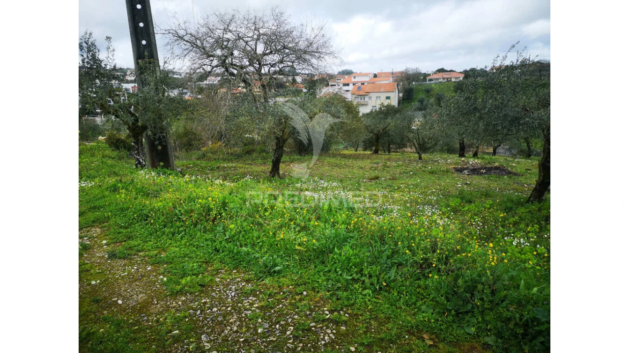 Terreno para Venda em Arrabal Foto 5