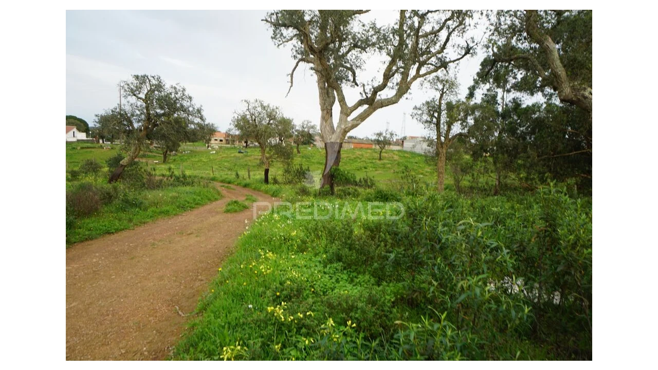 Terreno para Venda em São Francisco da Serra Foto 10