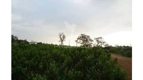 Terreno para Venda em São Francisco da Serra