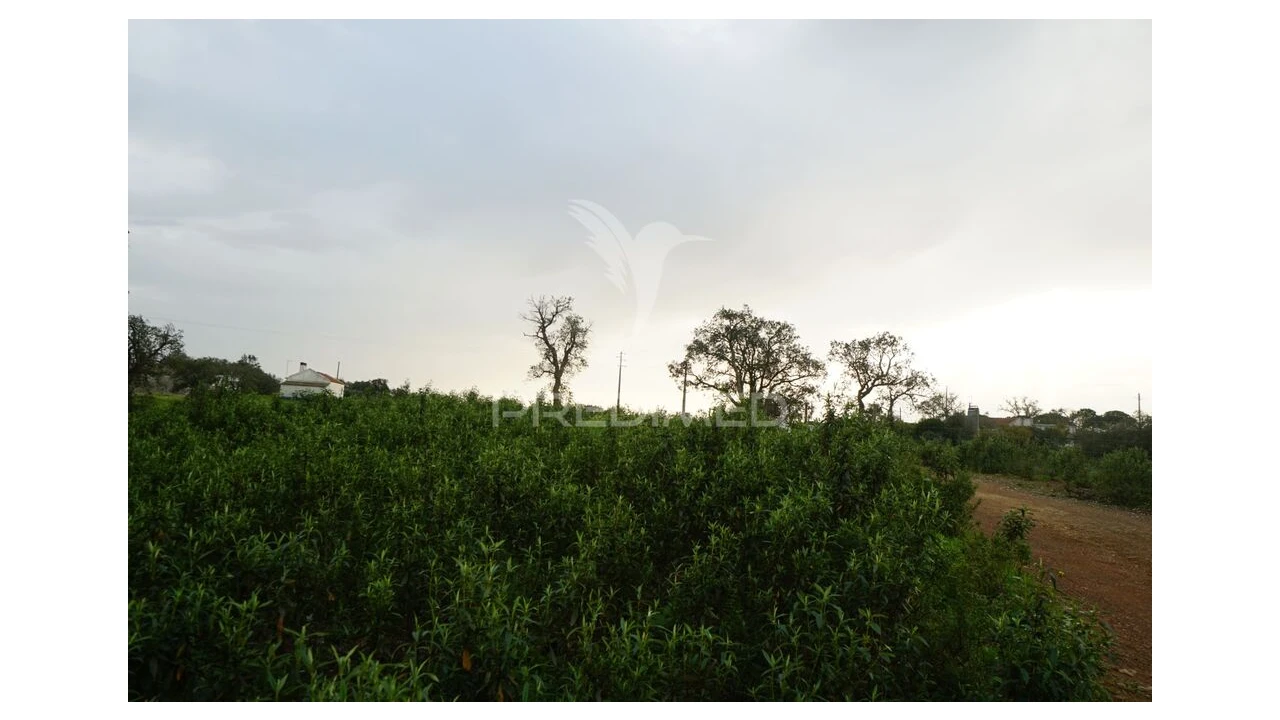 Terreno para Venda em São Francisco da Serra Foto 12