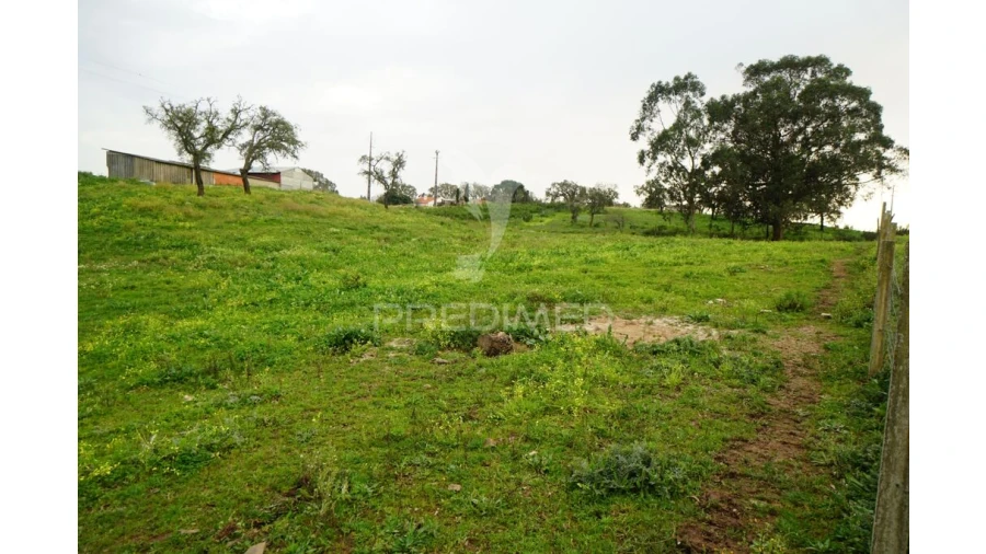 Terreno para Venda em São Francisco da Serra Foto 2