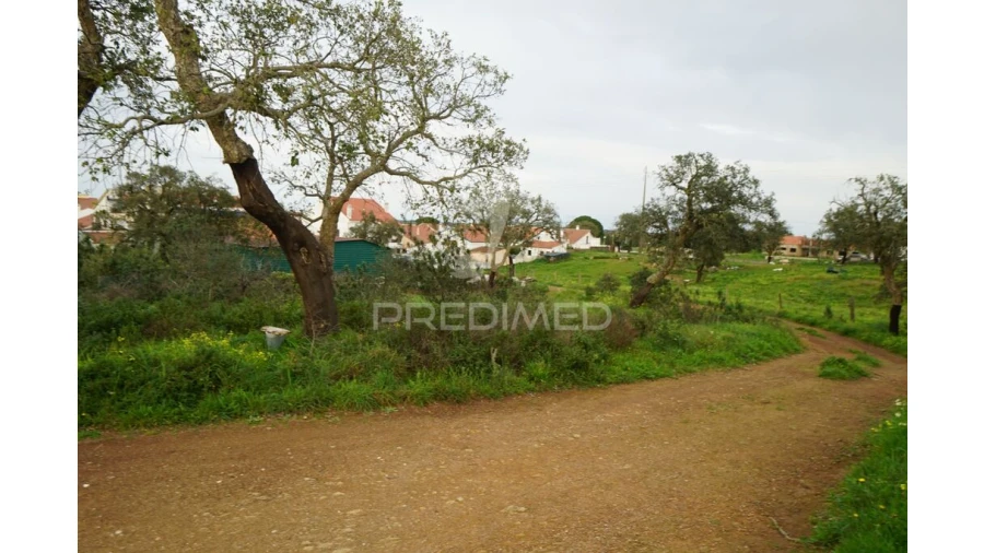 Terreno para Venda em São Francisco da Serra Foto 11