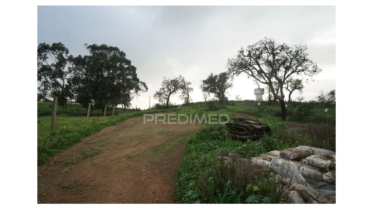 Terreno para Venda em São Francisco da Serra Foto 8