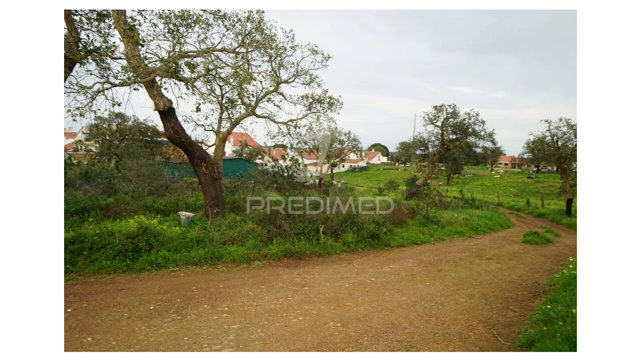 Terreno para Venda em São Francisco da Serra Foto 11