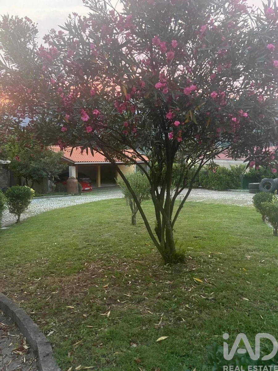Moradia T5 para Venda em Adoufe e Vilarinho de Samardã Foto 10