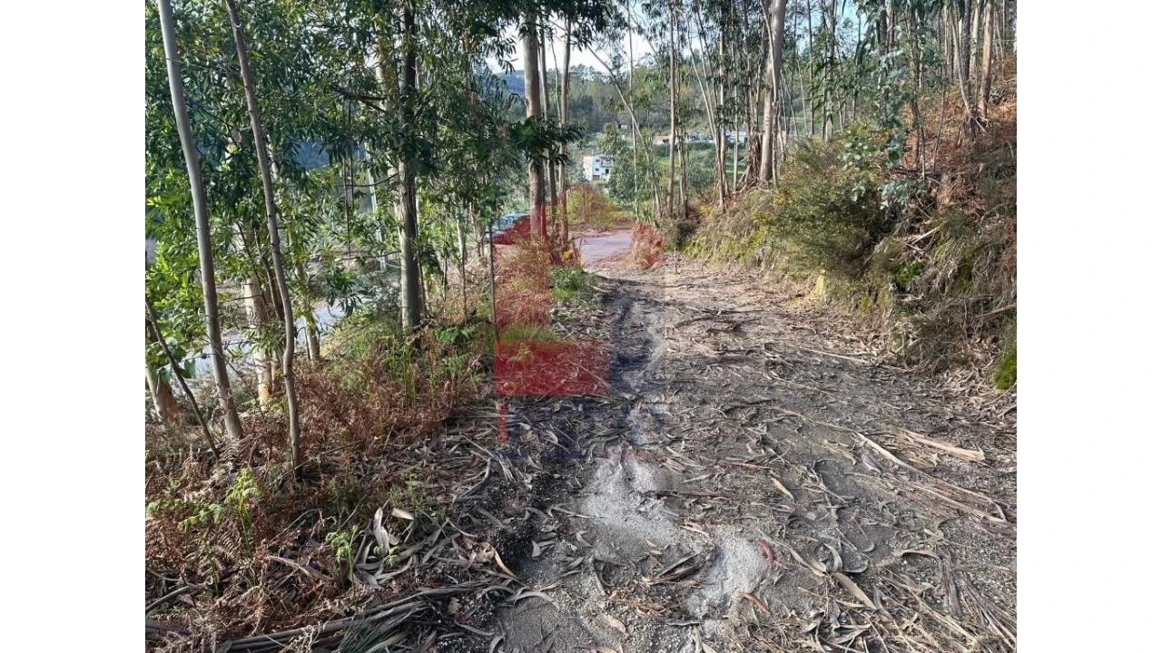 Terreno para Venda em Marrancos e Arcozelo Foto 30