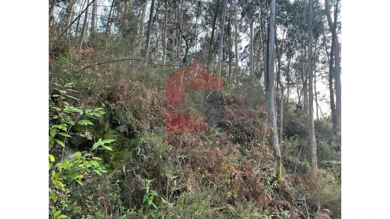Terreno para Venda em Marrancos e Arcozelo Foto 16