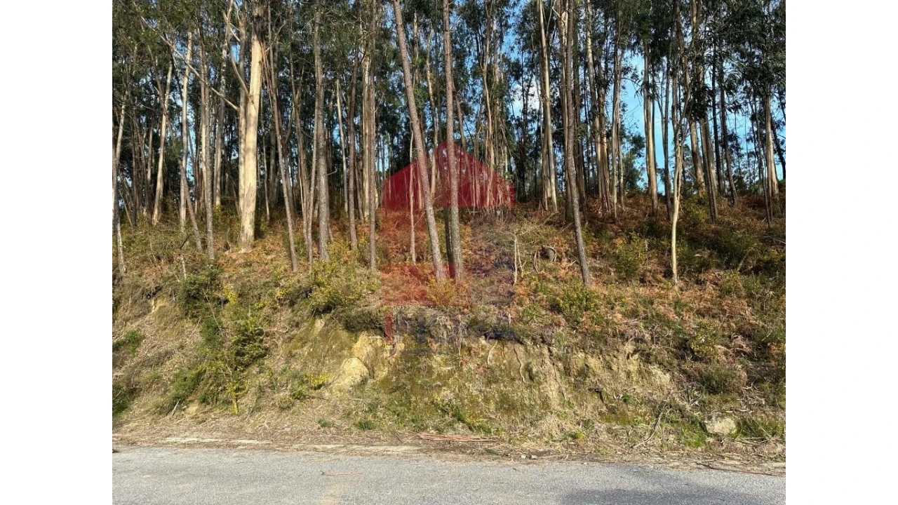 Terreno para Venda em Marrancos e Arcozelo Foto 4