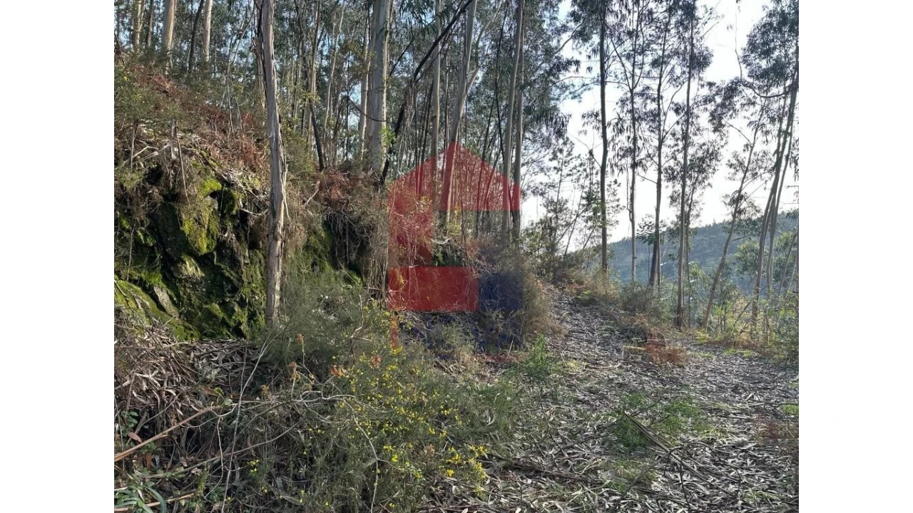Terreno para Venda em Marrancos e Arcozelo Foto 13