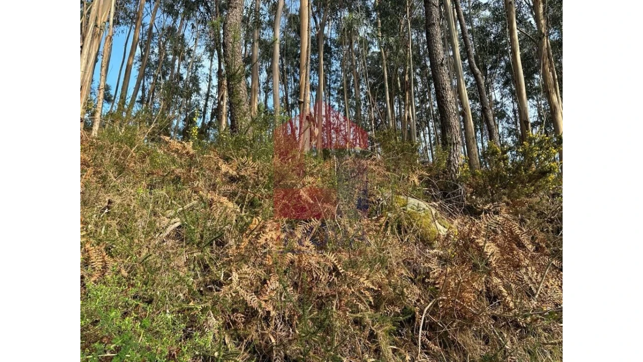 Terreno para Venda em Marrancos e Arcozelo Foto 7