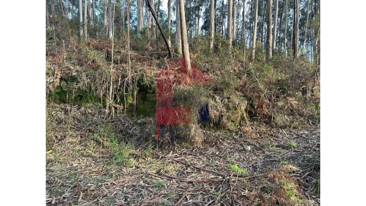 Terreno para Venda em Marrancos e Arcozelo Foto 11