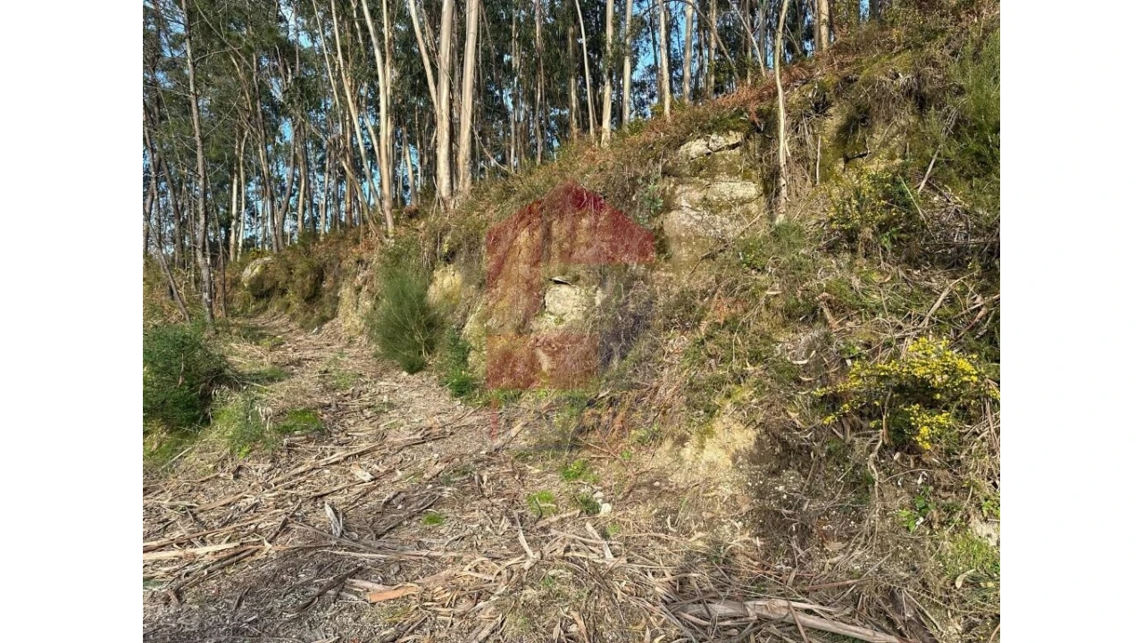 Terreno para Venda em Marrancos e Arcozelo Foto 3