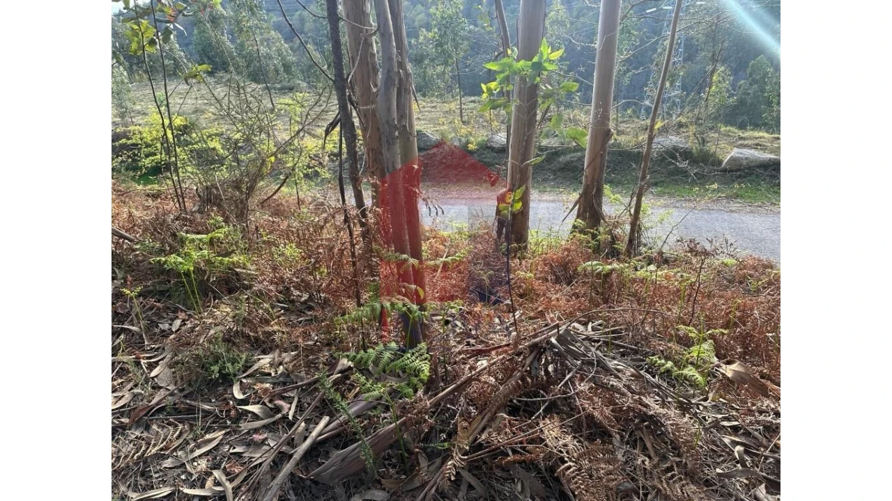 Terreno para Venda em Marrancos e Arcozelo Foto 31