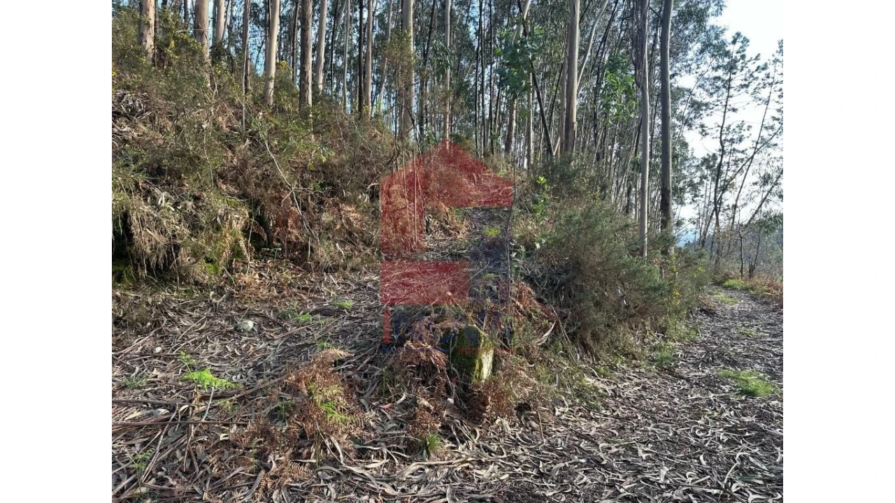 Terreno para Venda em Marrancos e Arcozelo Foto 10