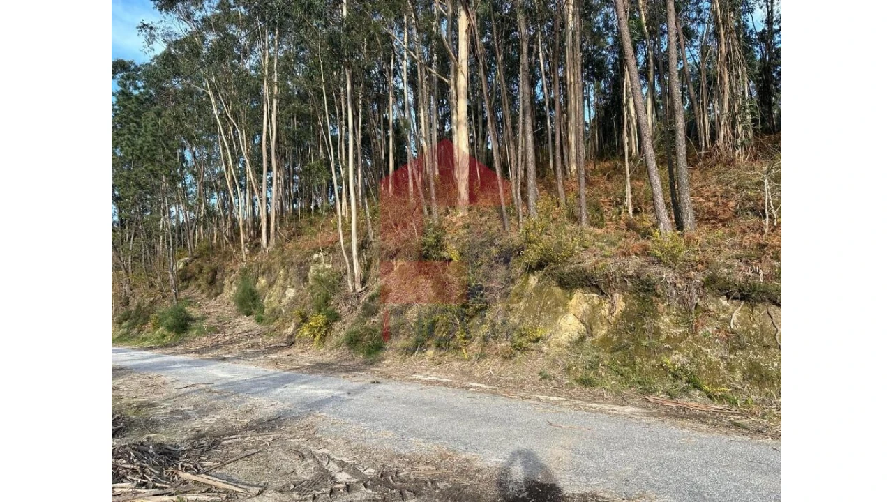 Terreno para Venda em Marrancos e Arcozelo Foto 2