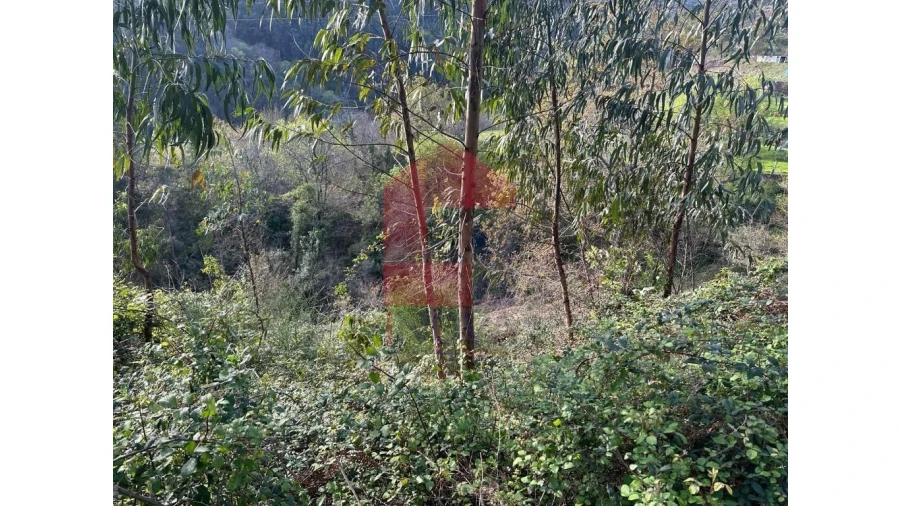 Terreno para Venda em Marrancos e Arcozelo Foto 9
