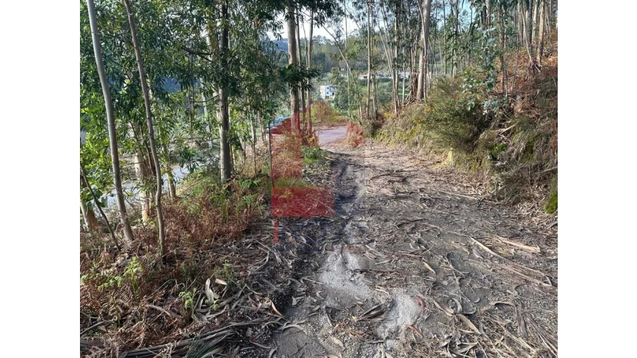 Terreno para Venda em Marrancos e Arcozelo Foto 30