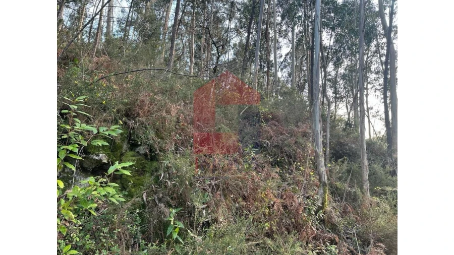 Terreno para Venda em Marrancos e Arcozelo Foto 16