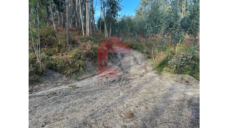 Terreno para Venda em Marrancos e Arcozelo Foto 20