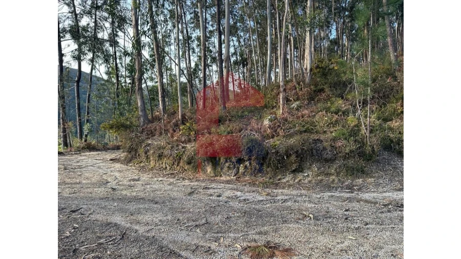 Terreno para Venda em Marrancos e Arcozelo Foto 27