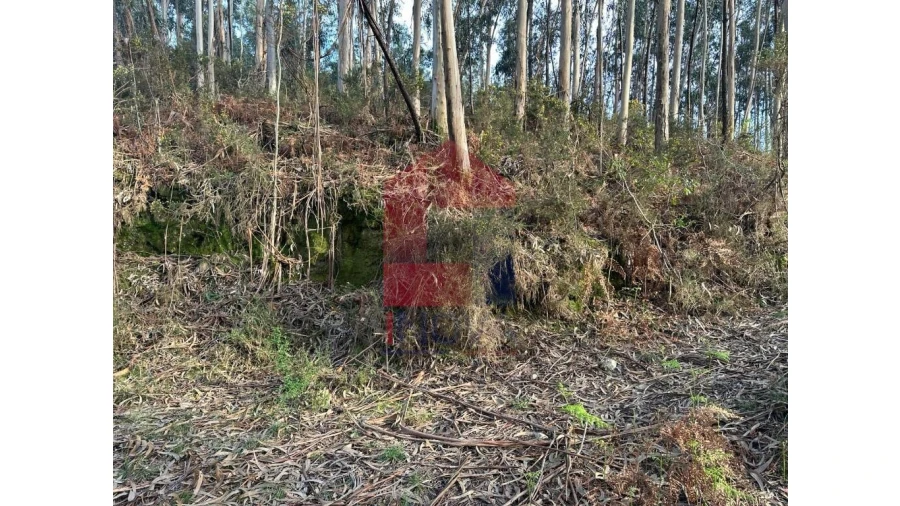 Terreno para Venda em Marrancos e Arcozelo Foto 11