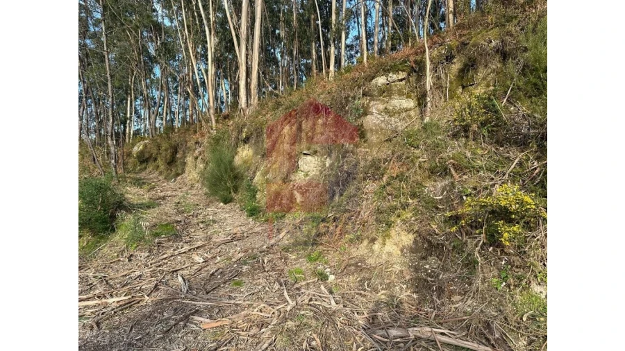 Terreno para Venda em Marrancos e Arcozelo Foto 3