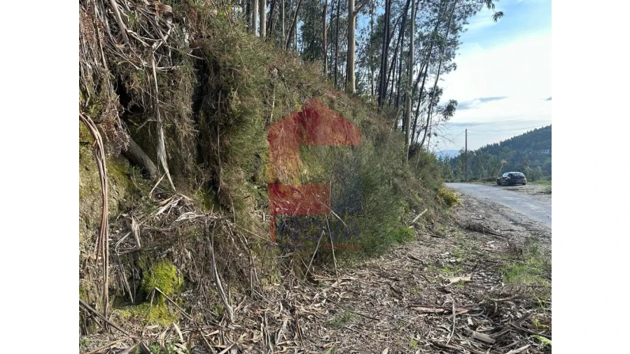 Terreno para Venda em Marrancos e Arcozelo Foto 37