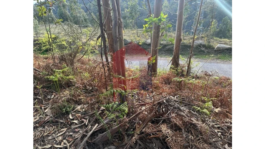 Terreno para Venda em Marrancos e Arcozelo Foto 31