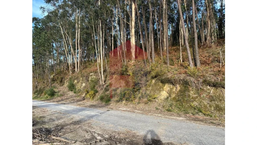 Terreno para Venda em Marrancos e Arcozelo Foto 2