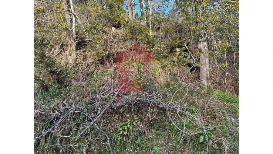 Terreno para Venda em Marrancos e Arcozelo Foto 19