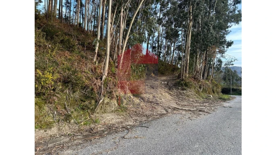 Terreno para Venda em Marrancos e Arcozelo Foto 32