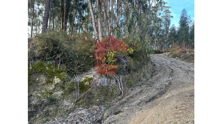 Terreno para Venda em Marrancos e Arcozelo Foto 26