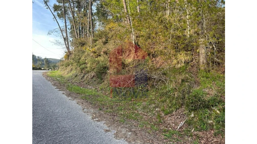 Terreno para Venda em Marrancos e Arcozelo Foto 33