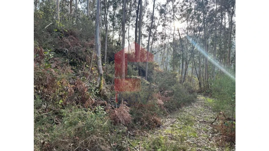 Terreno para Venda em Marrancos e Arcozelo Foto 17