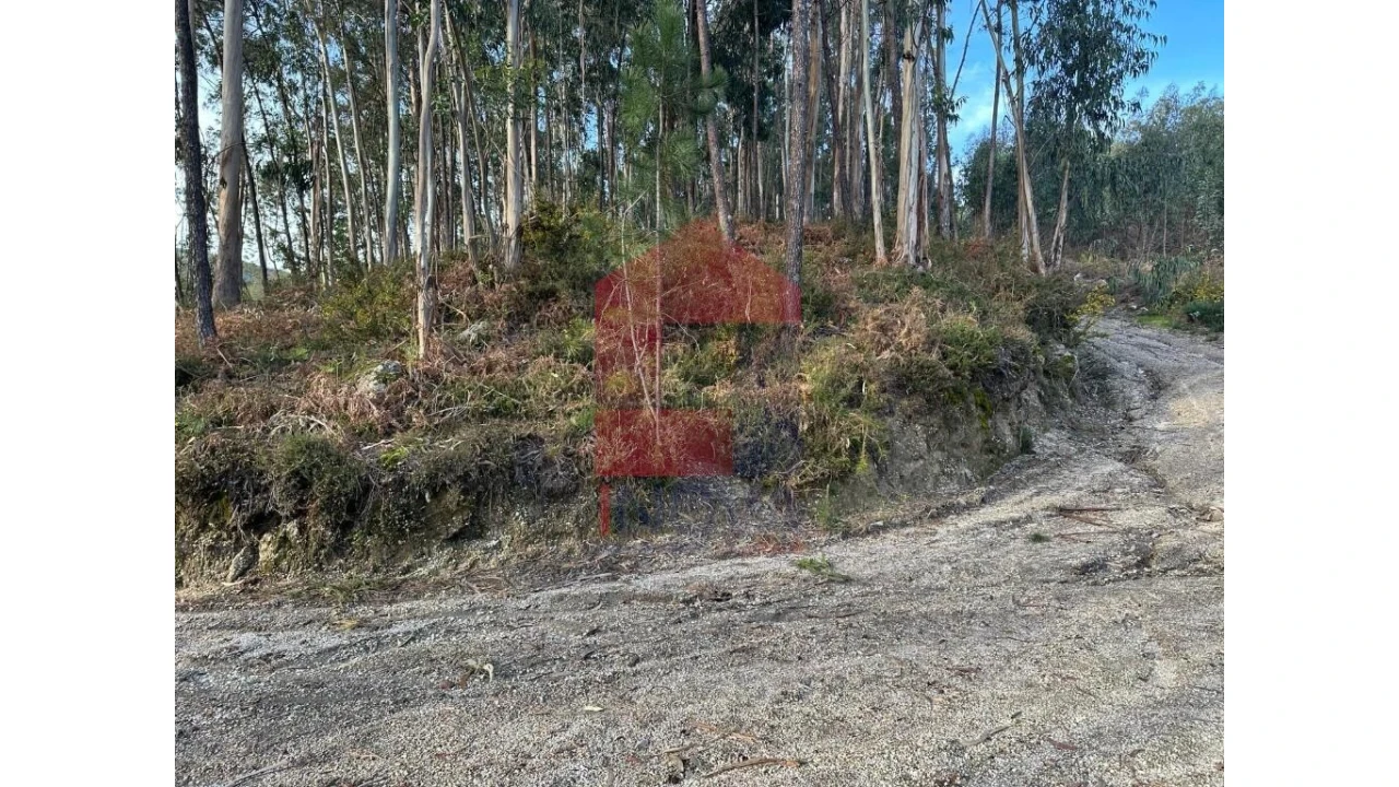 Terreno para Venda em Marrancos e Arcozelo Foto 28