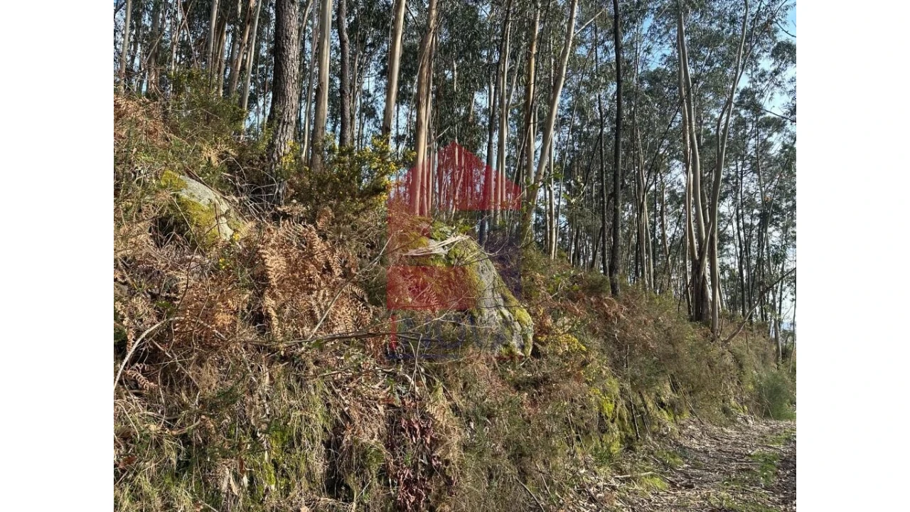 Terreno para Venda em Marrancos e Arcozelo Foto 6