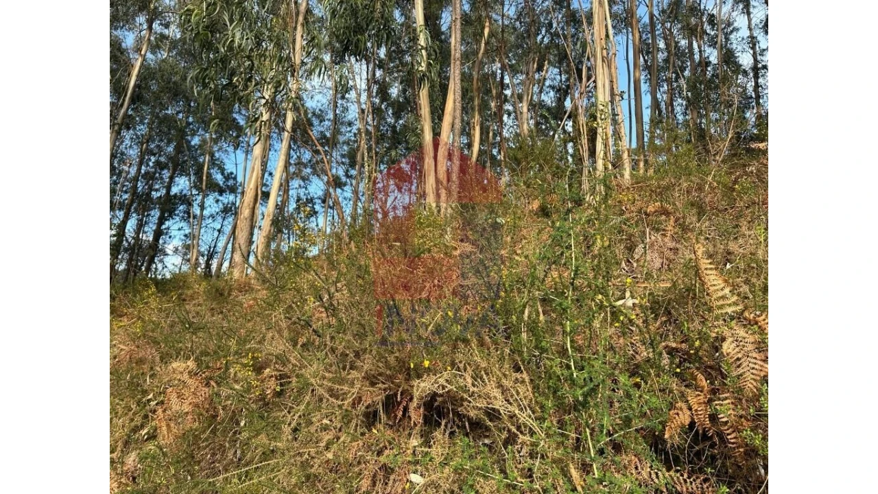 Terreno para Venda em Marrancos e Arcozelo Foto 8