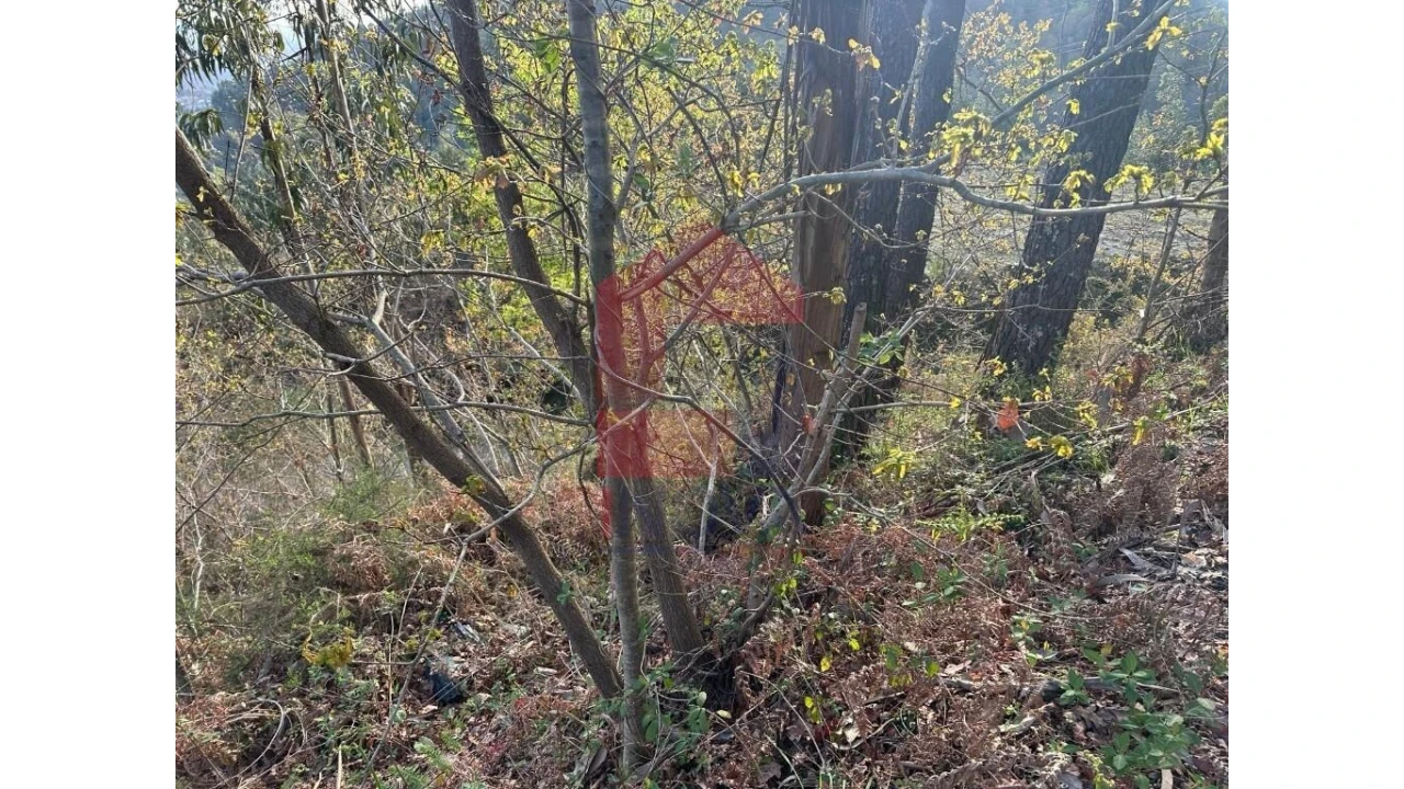 Terreno para Venda em Marrancos e Arcozelo Foto 24